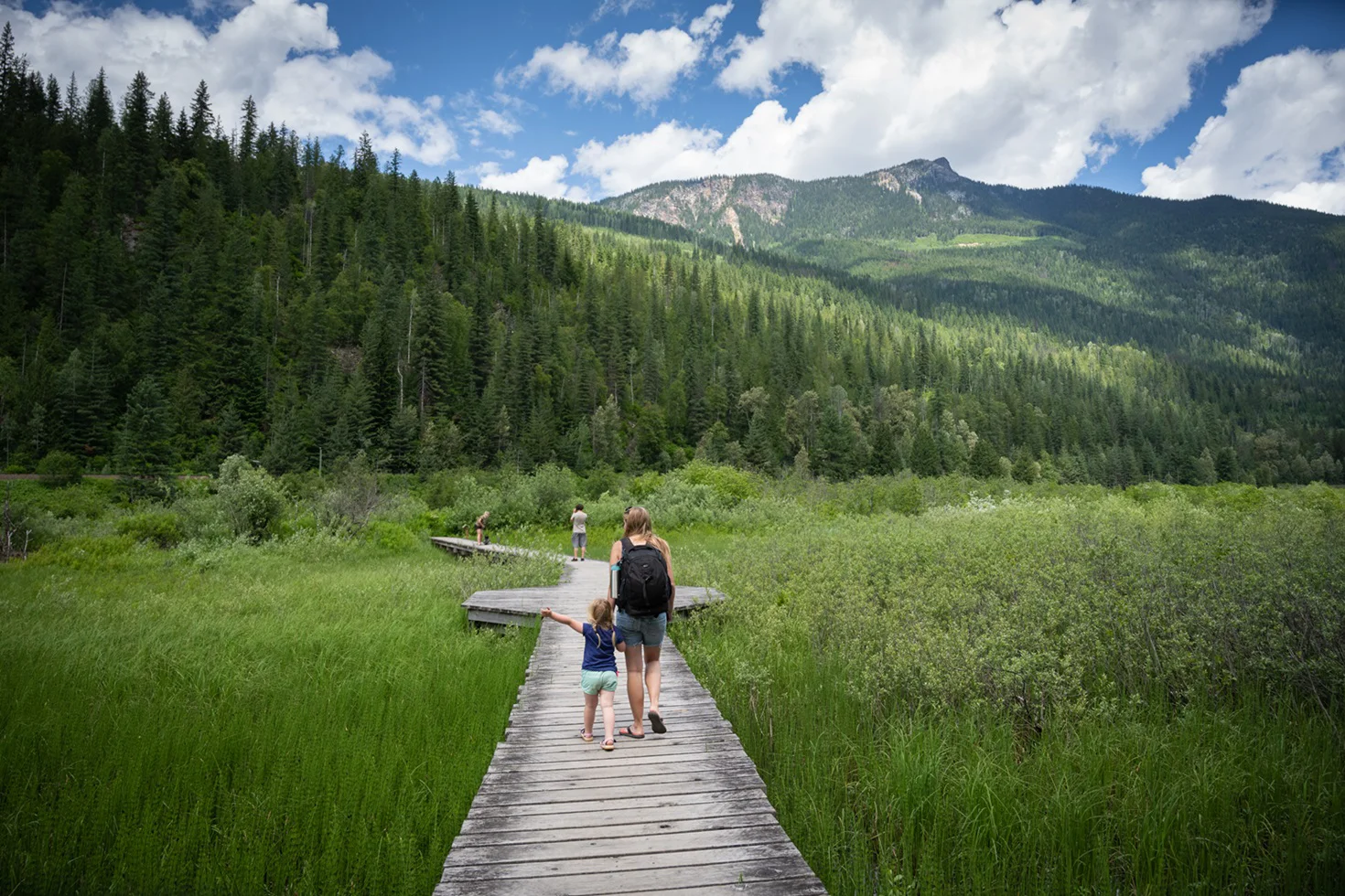 a family on a hike in a lush, green valley